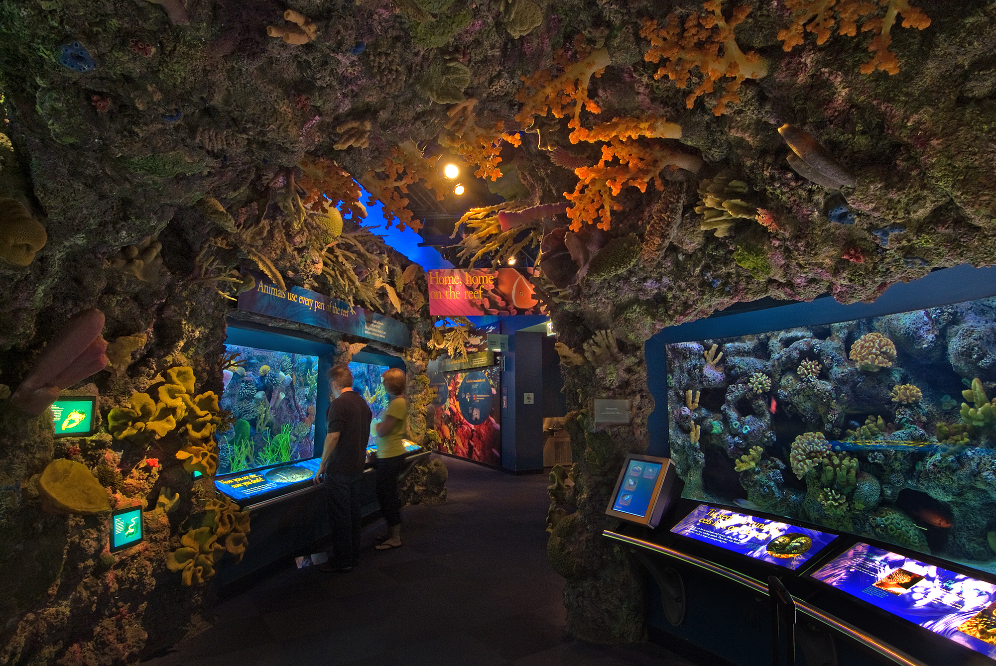 shedd-homepage