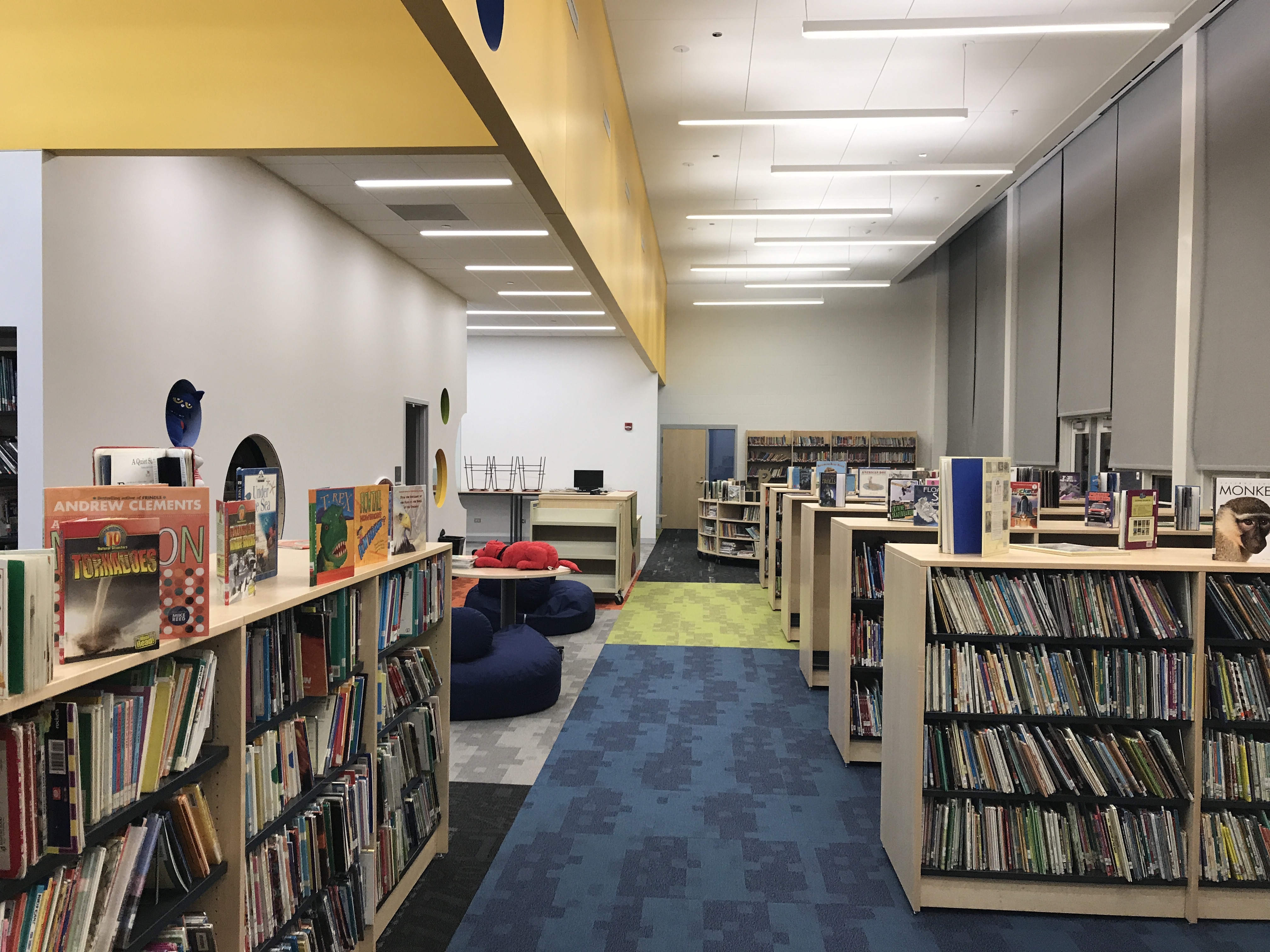 A library filled with lots of books and magazines.